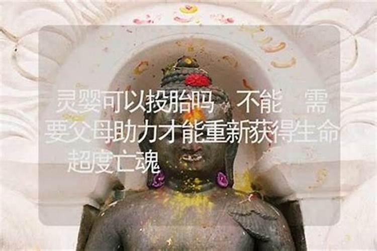 65的蛇在2025年运势