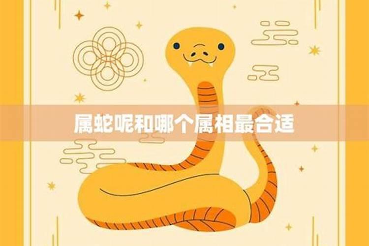 蛇和什么属相最配,属蛇人的婚姻更佳配偶