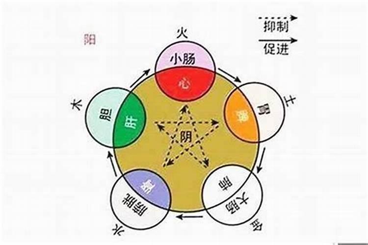 乾造和坤造是什么意思(这八字什么意思坤造)
