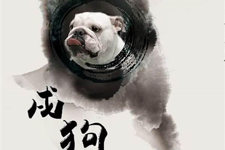 属狗人出生月的命运