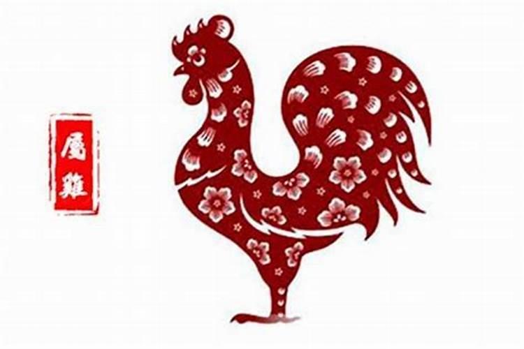 属兔人在哪些年犯太岁