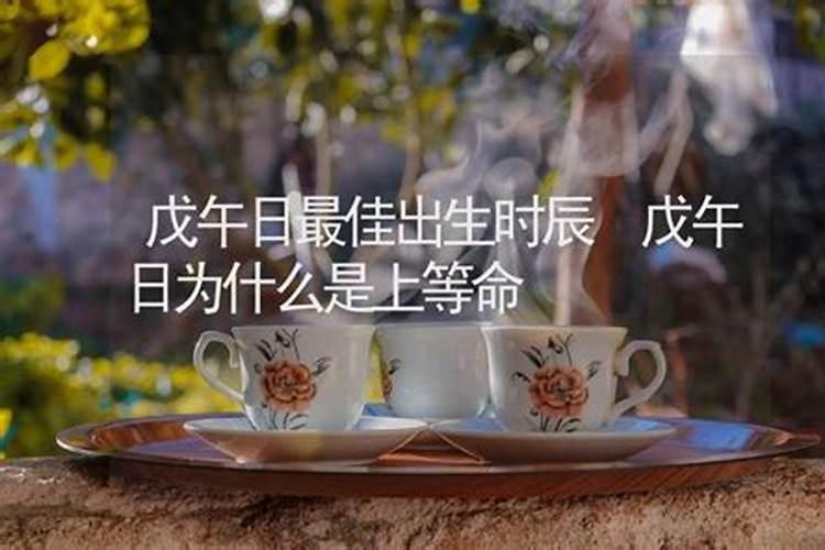 戊午是什么意思