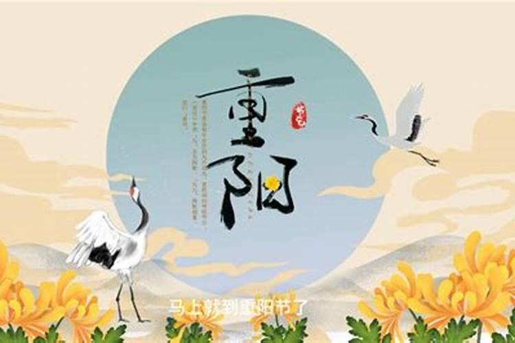 在鼠年犯太岁、冲太岁、刑太岁和害太岁要注意些什么？