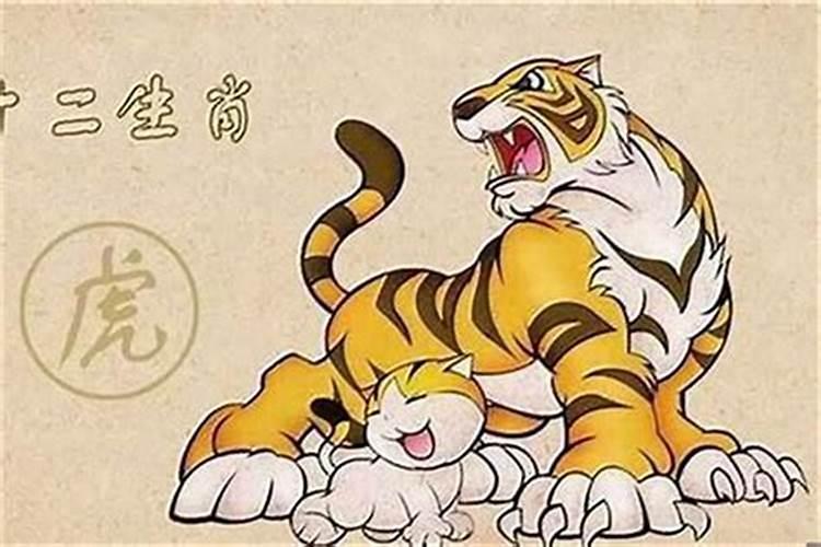 1986年10月份的虎是什么命