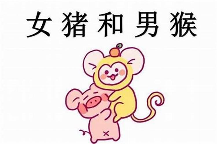 83年猪2025 年的运气