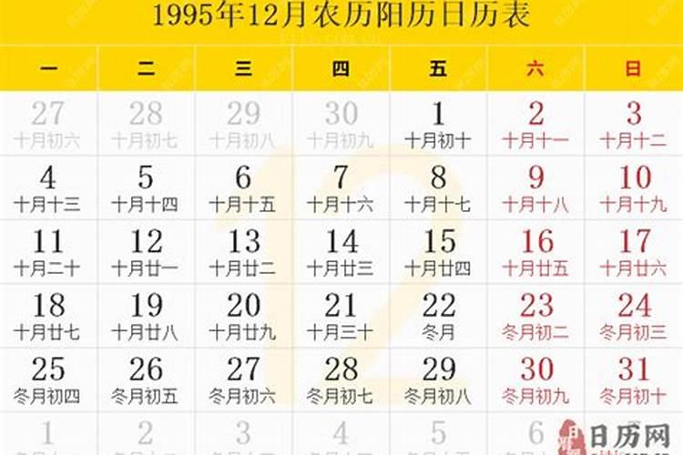 1995年农历11月19日6点多八字轻重求大师解算