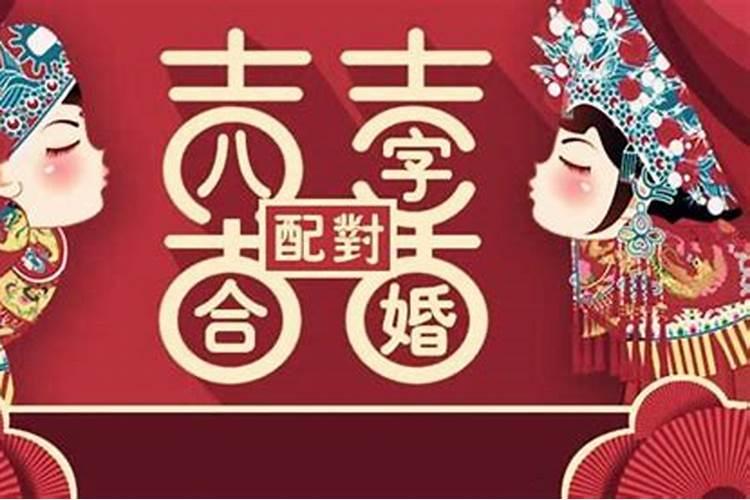 生肖猪人未来5年的运势走向