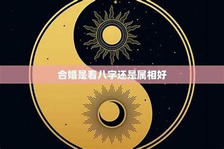 八字看配偶属相 配偶星看坐支？