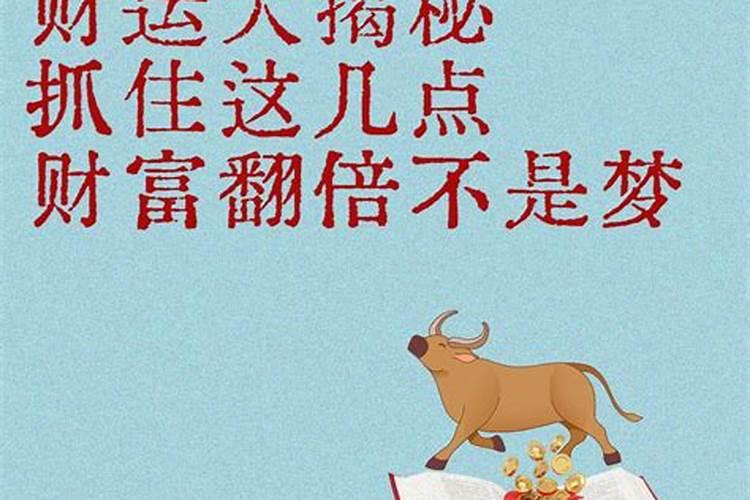 1967属羊人2025年全年运势详解