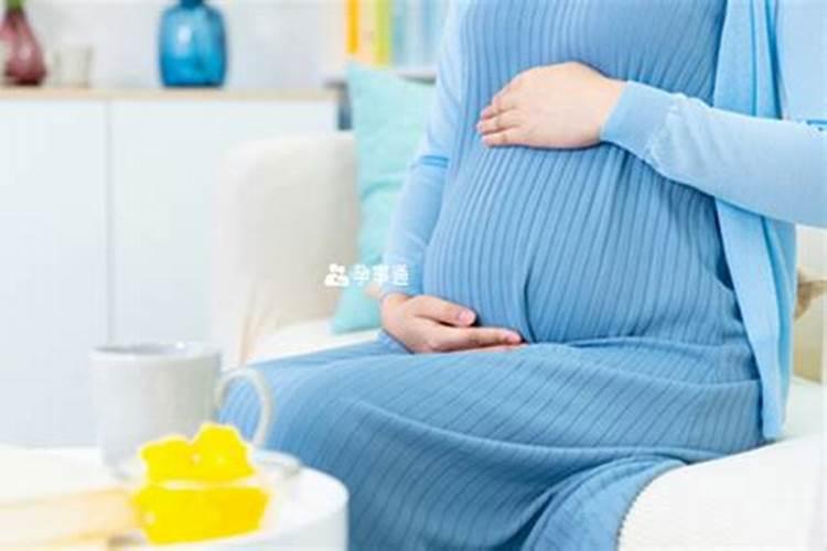 生肖蛇2025年运势及运程如何