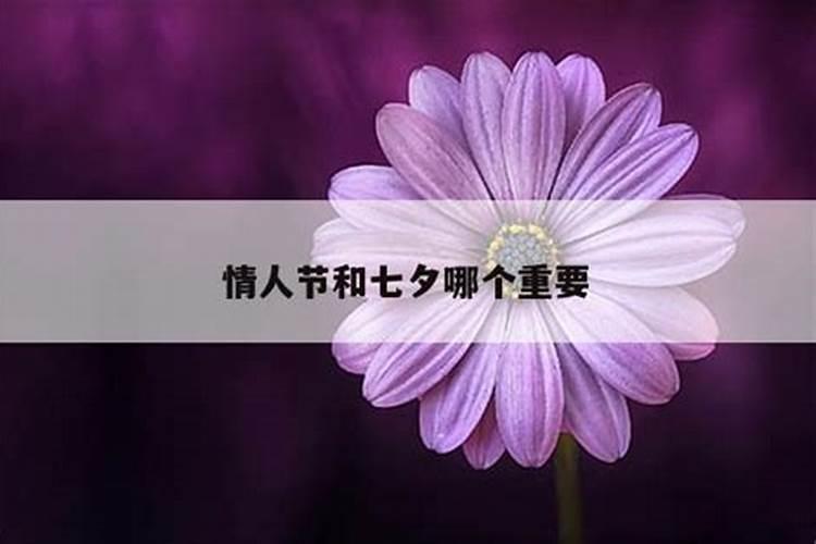 情人节和七夕哪个重要