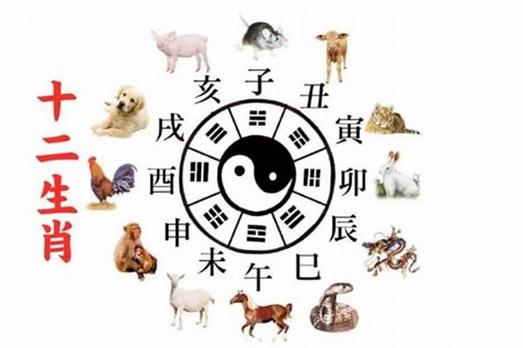 婚配主要是看年份还是时辰,属相配偶是看年号还是看生的时候