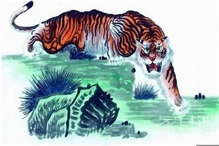 属虎人2025年运势运程