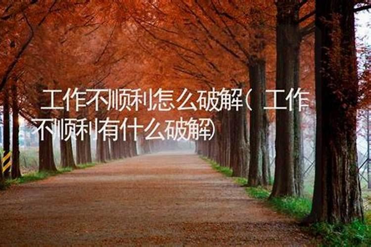 广西南宁冬至吃什么食物