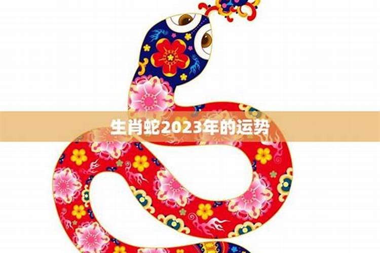 97年农历7月28丑时生人的运程