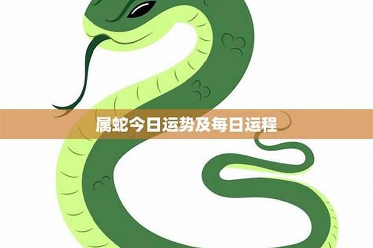 第一星座网每日运势查询 查看十二生肖每日运势