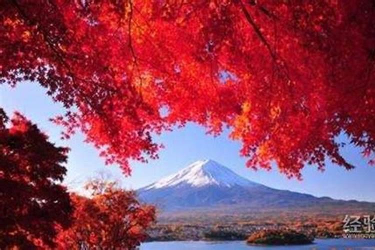 八字合婚上等婚好不好 上等婚儿孙满堂？