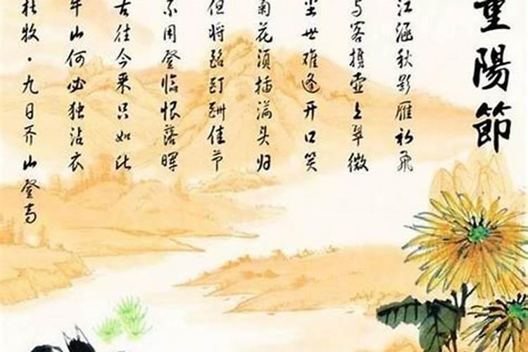重阳节有哪些传统风俗