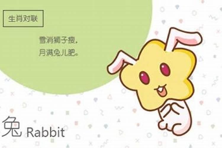 属兔的女人嫁给属猪的怎么样 属兔的女人和属猪的男人相配吗