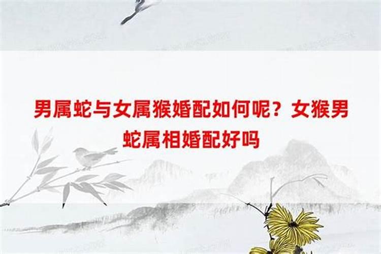 1977年属蛇人今年运势是好是坏