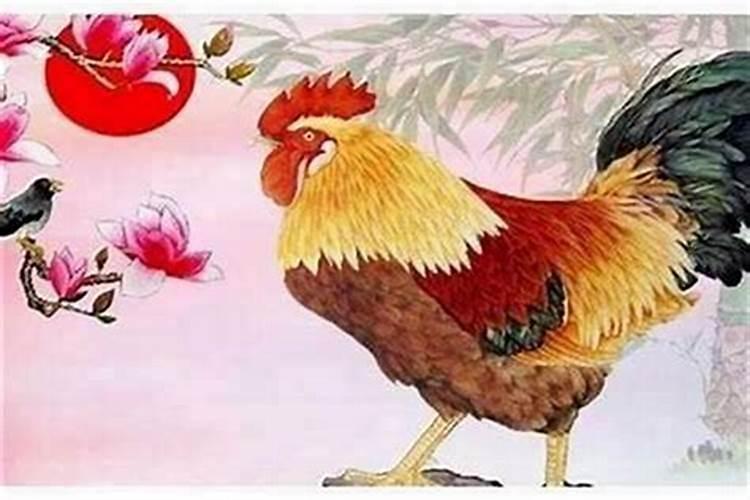 2025年鸡犯太岁吗