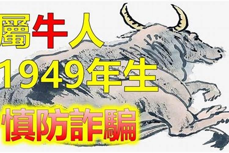 属牛2025年的运势及运程