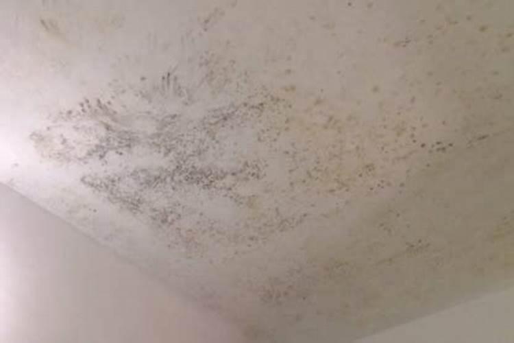 梦见水管漏水是什么预兆
