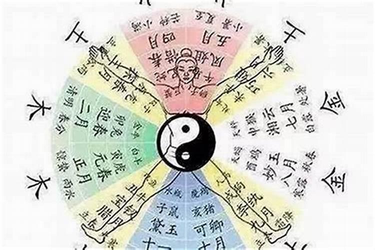 什么八字适合学命理