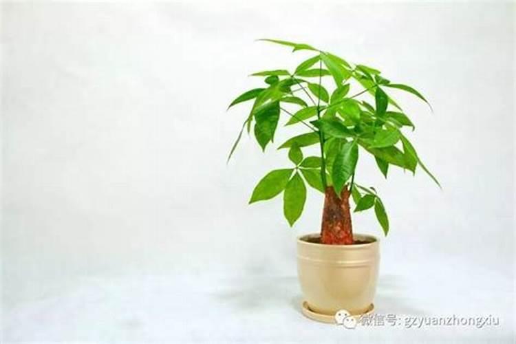 工作不顺转运很灵的办法