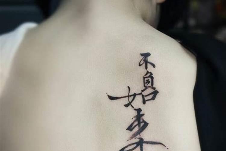 养狗的风水禁忌