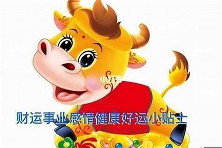 广西元宵节有哪些风俗