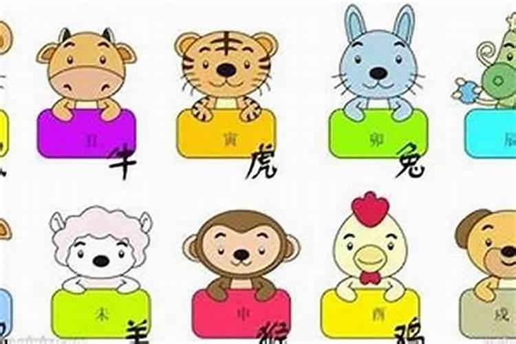 生什么属相的孩子最好？还有哪个月份的好？