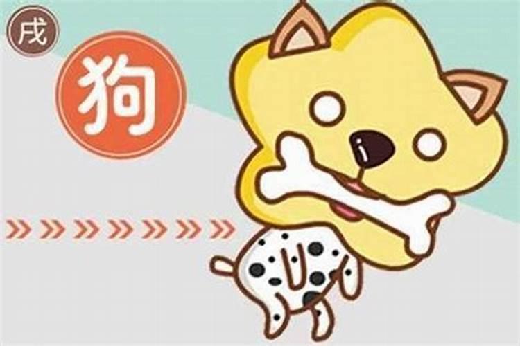 八字中的十神是怎样排序的？