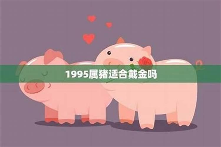 属猪的犯太岁佩戴什么