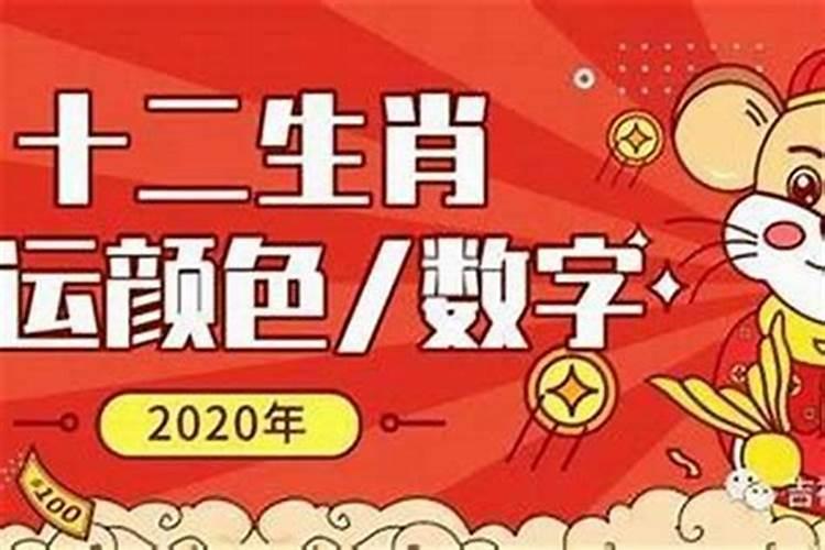 正月十五最佳生肖