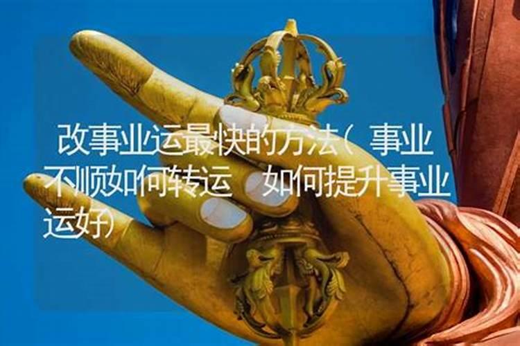 93年阴历1月12是什么星座和一月初二都是什么星座？