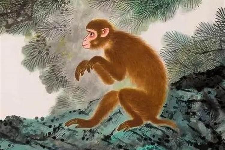 92年猴2025年运势