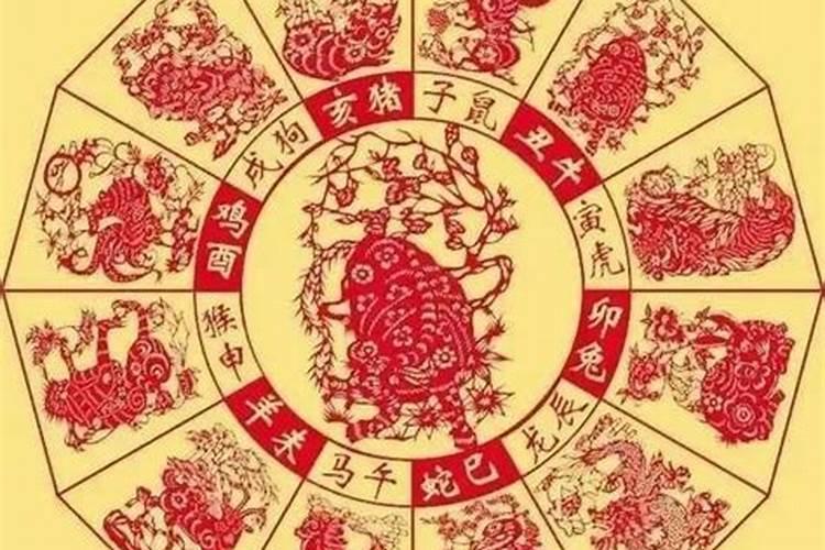 兔子在鸡年运势如何,兔年里,属鸡的人运程会怎样？