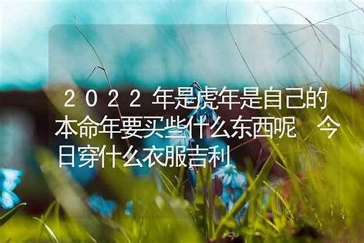 70多岁本命年虎年红色外套,本命年红衣服谁买合适