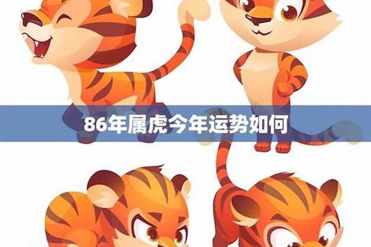 86年虎2025年每月运势