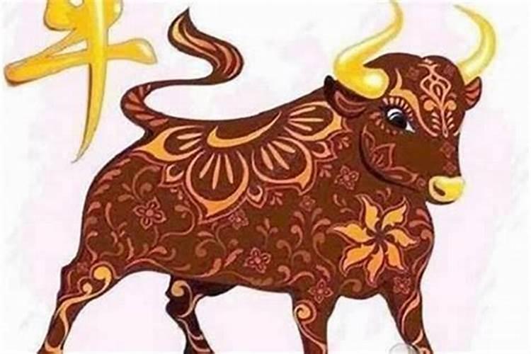 属牛的本命年是什么时候,属牛的今年是不是属于本命年