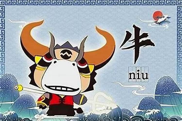 牛不怕本命年吗？一切都很顺利