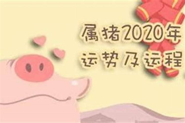 我是阴历1979年12月28出生,请问是属羊还是属猴的？