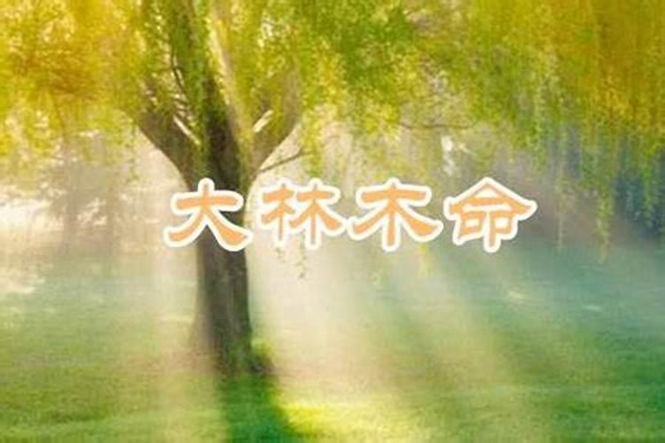 虎年属猪人的运势如何 虎年属猪人的运势怎样