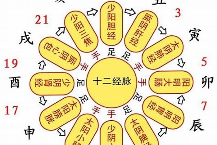 1974年农历九月九日午时生人的运势如何？