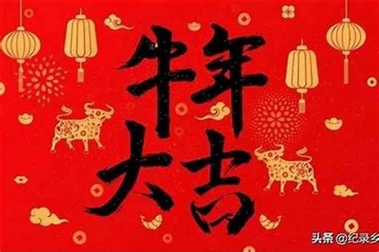 属牛本命年结婚好不好 有什么忌讳