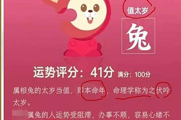 庚寅日柱人的命运解析