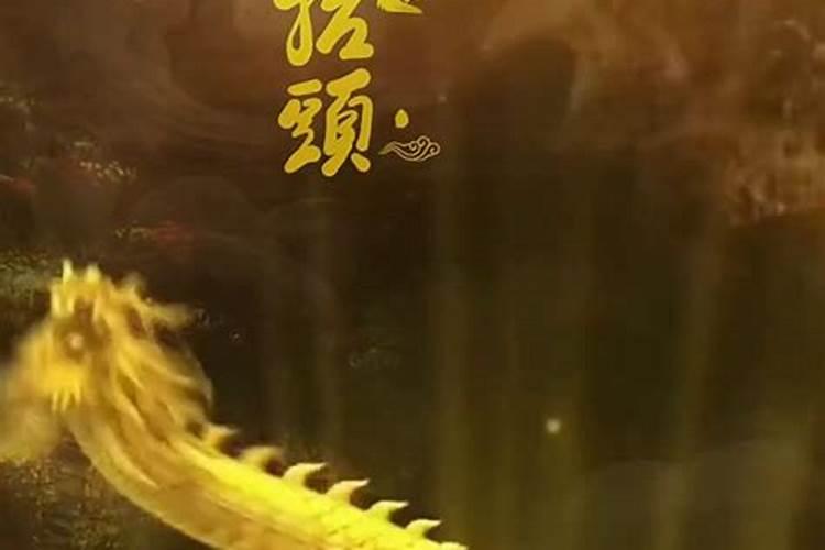 1984年阴历2月27是什么命人？
