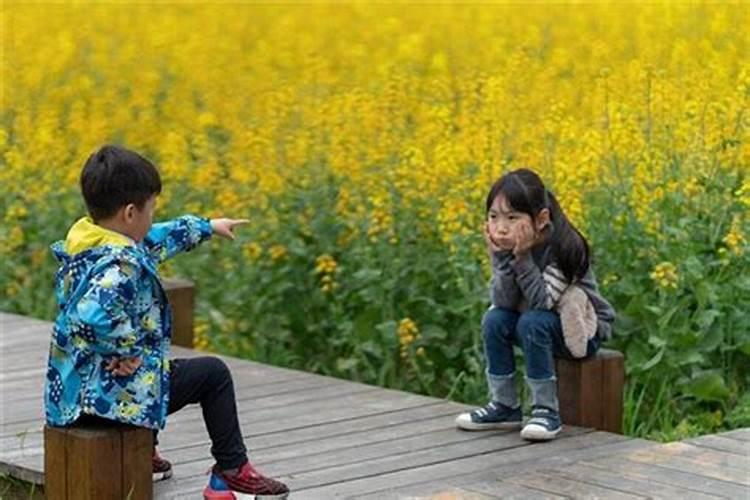 2025年几月份雨水多