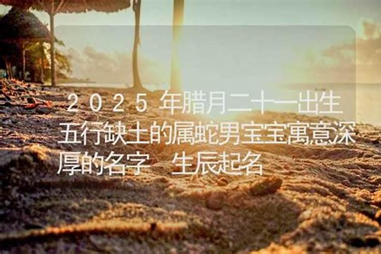 生肖蛇2025年运势 属蛇2025年运势及运程